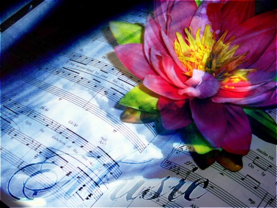 music-and-flower