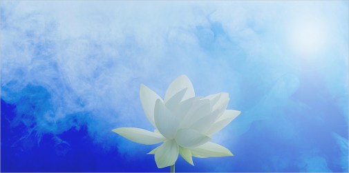 7517188772_f96c18a171_b