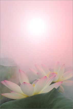 7532331300_d13bce9a73_b