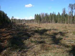 kailcirte_7.JPG_2000x1500