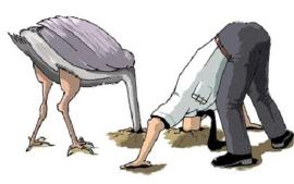 Cik-zirneklus-tu-esi-1